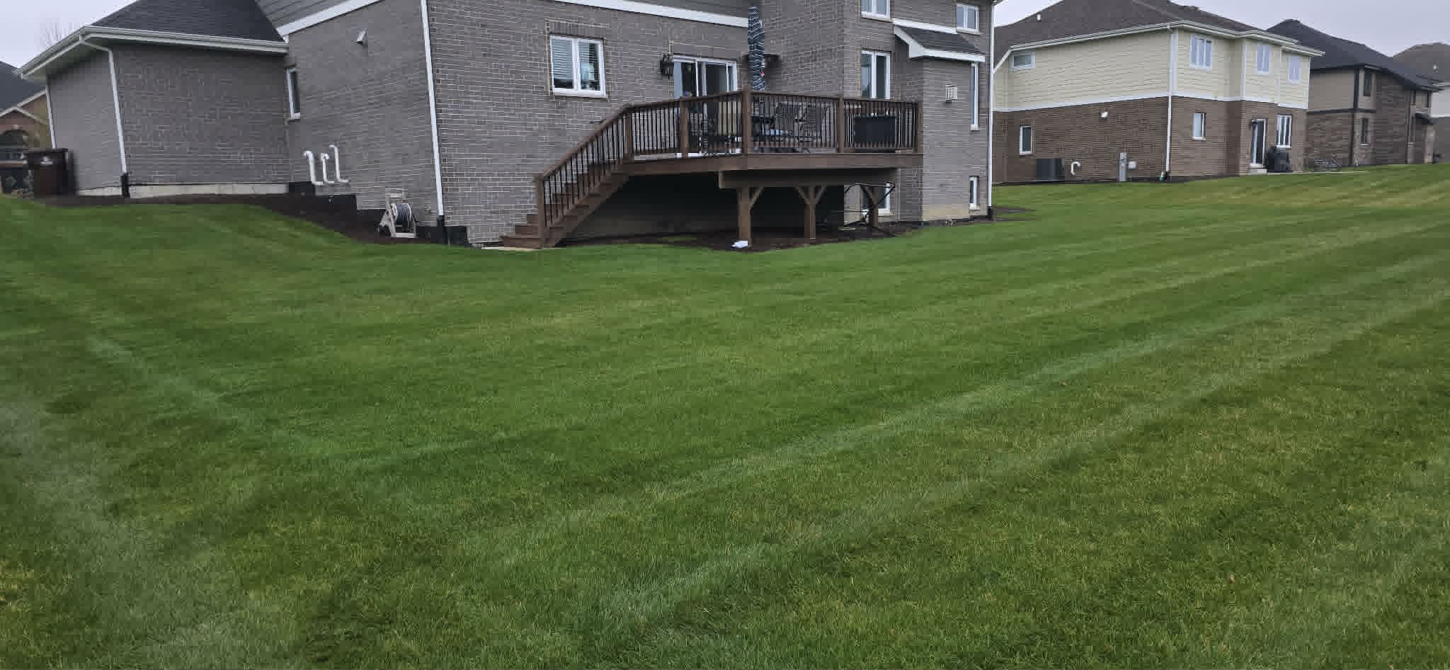 Clean mowed lawn